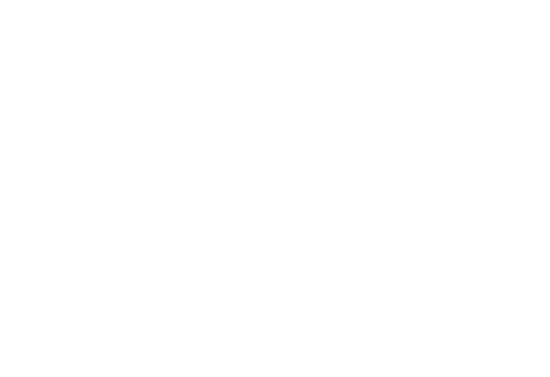 Grupo Andino